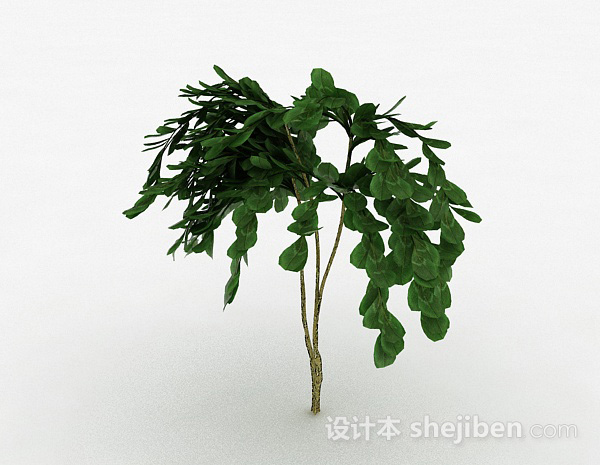 设计本倒卵形树叶景观植物3d模型下载