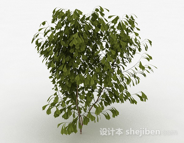 现代风格倒卵形树叶树苗3d模型下载