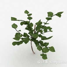 椭圆形树叶灌木3d模型下载