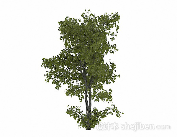 现代风格椭圆形树叶树木3d模型下载