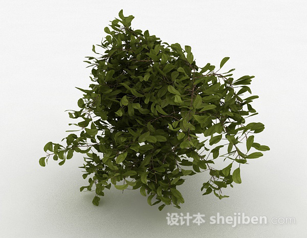 设计本圆形树叶家庭观赏型树木3d模型下载