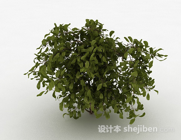 现代风格圆形树叶观赏型树木3d模型下载