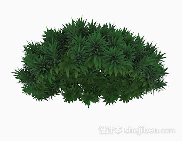 设计本针状绿色植物3d模型下载
