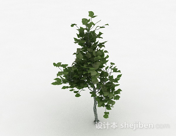 绿色椭圆形树叶观赏型植物3d模型下载