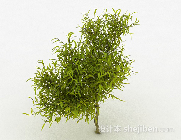 设计本嫩黄色树叶观赏植物3d模型下载