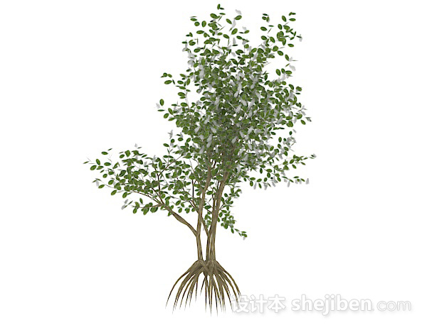 免费椭圆形小叶字灌木树3d模型下载