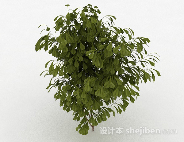 设计本观赏型灌木3d模型下载