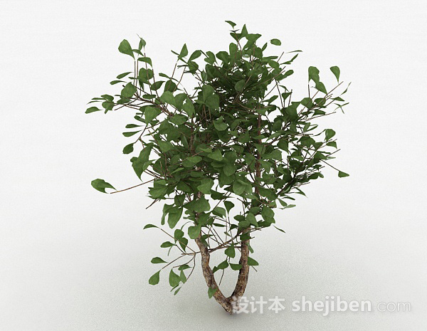免费圆形树叶家庭观赏型树3d模型下载