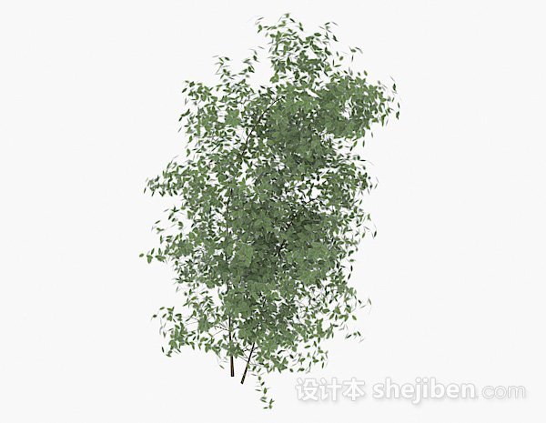 设计本低矮绿色树枝3d模型下载