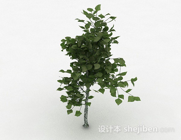 免费绿色椭圆形树叶观赏型植物3d模型下载