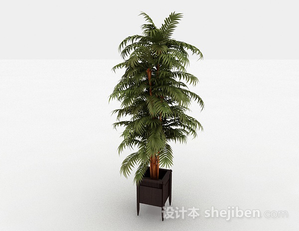 免费绿色家庭景观树3d模型下载