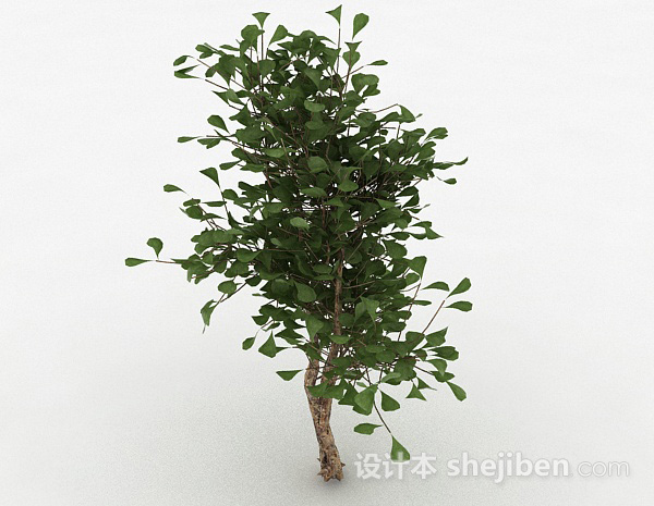 现代风格绿色圆形树叶家庭观赏型树3d模型下载