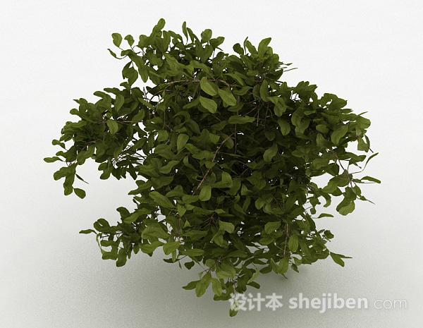 设计本绿色圆形树叶观赏型树木3d模型下载