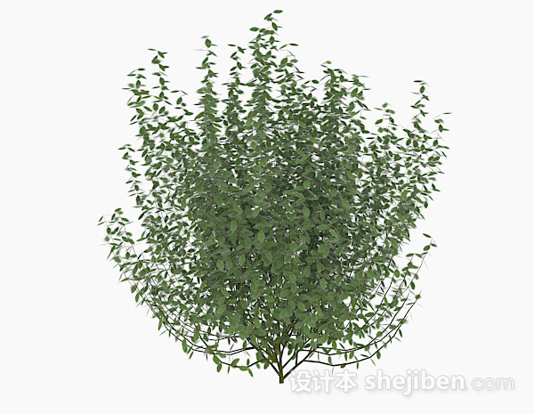 免费椭圆形树叶低矮灌木3d模型下载