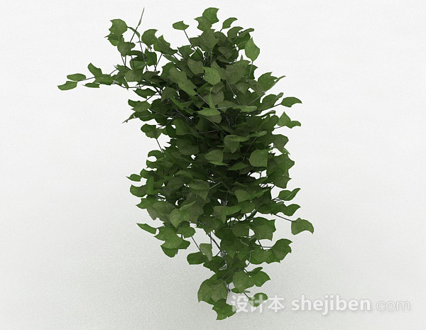 设计本绿色椭圆形树叶植物3d模型下载