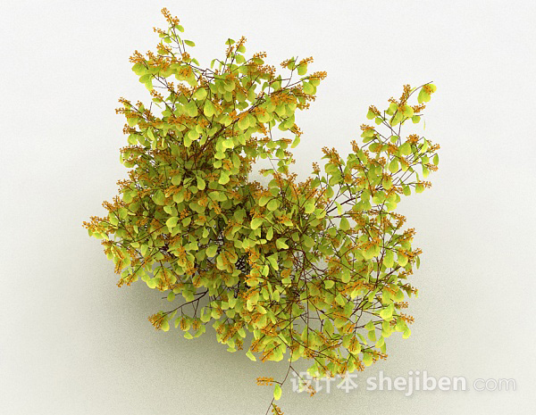 现代风格黄色圆形叶子观赏植物3d模型下载