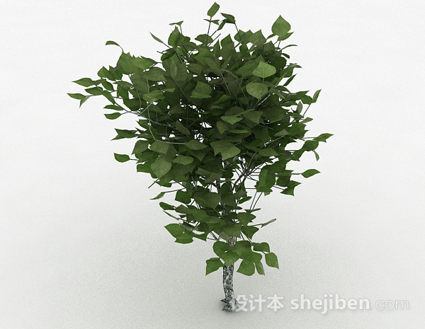 现代风格绿色椭圆形树叶观赏植物3d模型下载