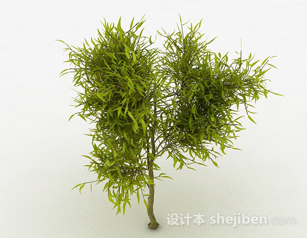 设计本嫩黄色剑型树叶观赏植物3d模型下载
