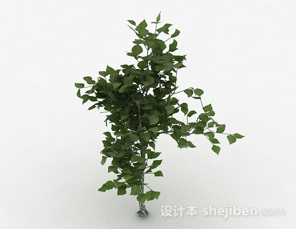 现代风格绿色椭圆形树叶观赏型植物3d模型下载