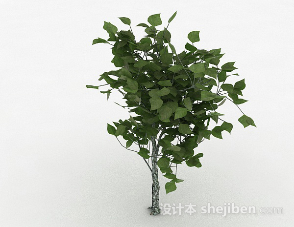 现代风格绿色树叶观赏植物3d模型下载