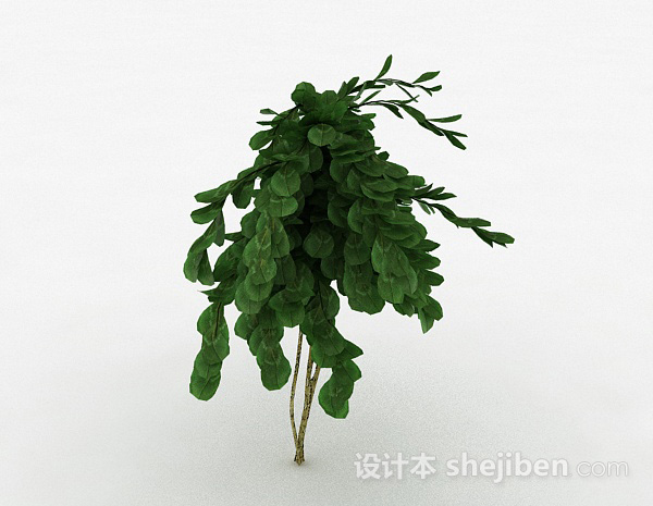 倒卵形树叶景观植物3d模型下载