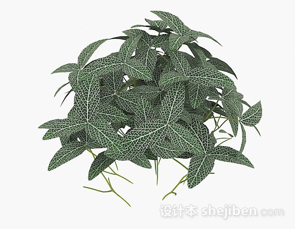 绿色三叶植物3d模型下载