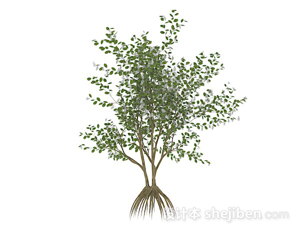 现代风格椭圆形小叶字灌木树3d模型下载