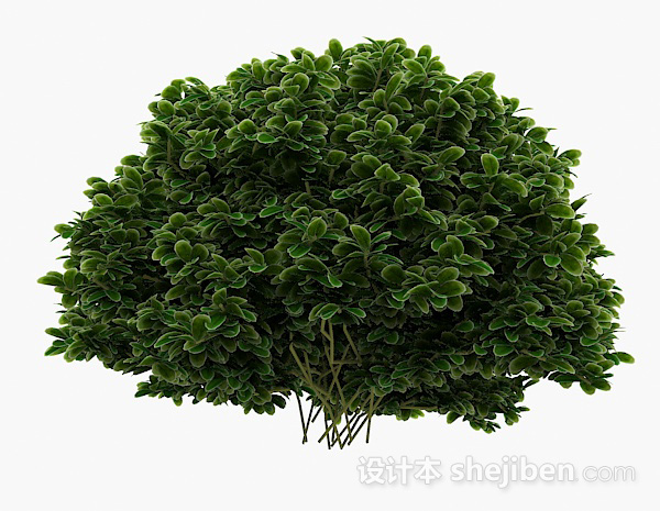 设计本绿色圆形白边叶子植物3d模型下载