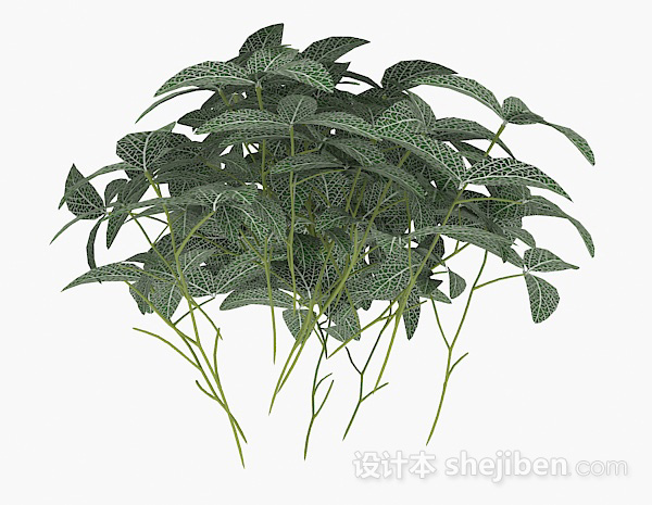 免费绿色三叶植物3d模型下载