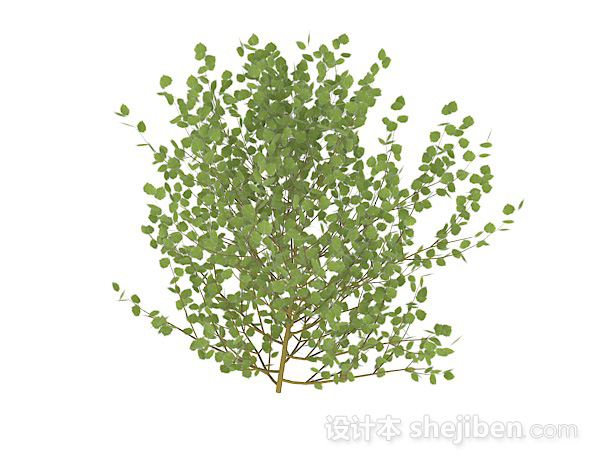卵型叶子灌木3d模型下载