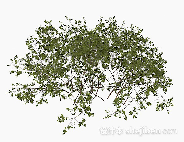 现代风格室外植物3d模型下载