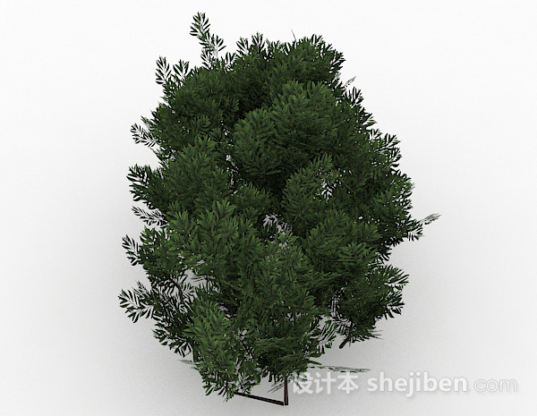 免费绿色细小叶子灌木丛3d模型下载