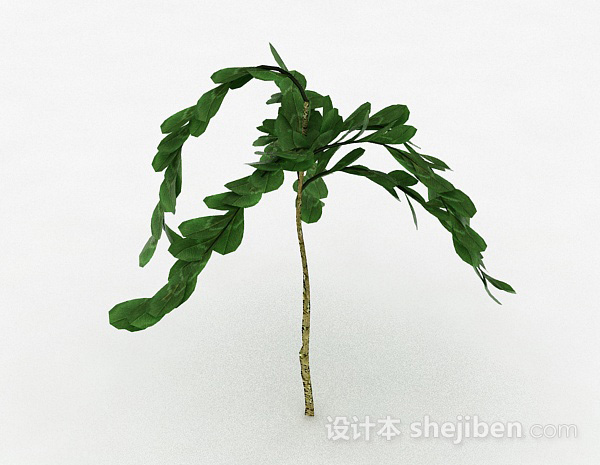 现代风格倒卵形树叶灌木植物3d模型下载
