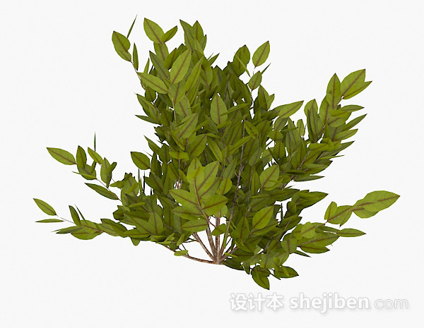 现代风格黄绿色椭圆形叶子植物3d模型下载
