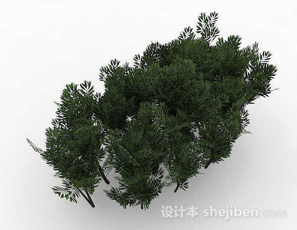 设计本绿色细小叶子灌木丛3d模型下载