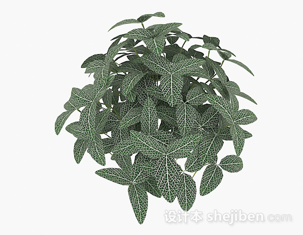 设计本绿色三叶植物3d模型下载