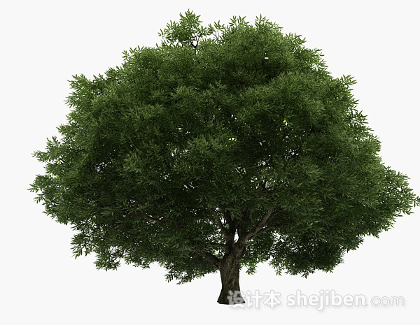 免费针状细叶灌木丛3d模型下载