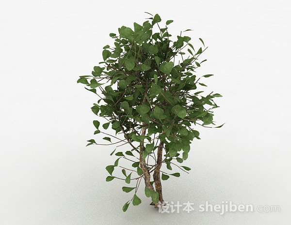 现代风格圆形树叶家庭观赏型树3d模型下载