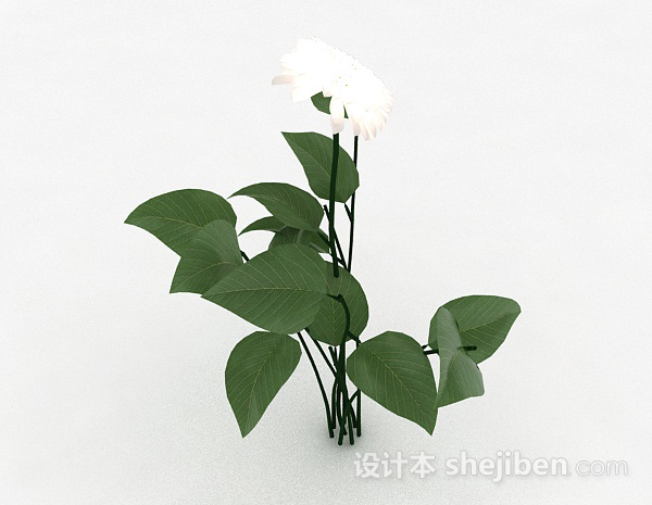 现代风格白色室外花卉植物3d模型下载