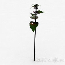 单株绿叶野外植物3d模型下载