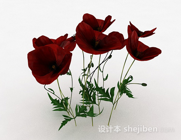 设计本室内装饰红色花卉植物3d模型下载