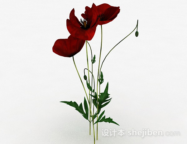 免费精品红色花卉3d模型下载