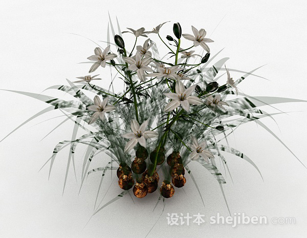 祘科植物花卉3d模型下载