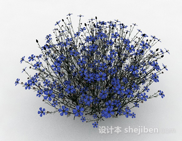 免费蓝色花朵植物花卉3d模型下载