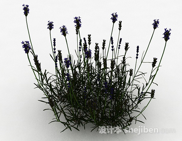 其它紫色花朵草丛3d模型下载
