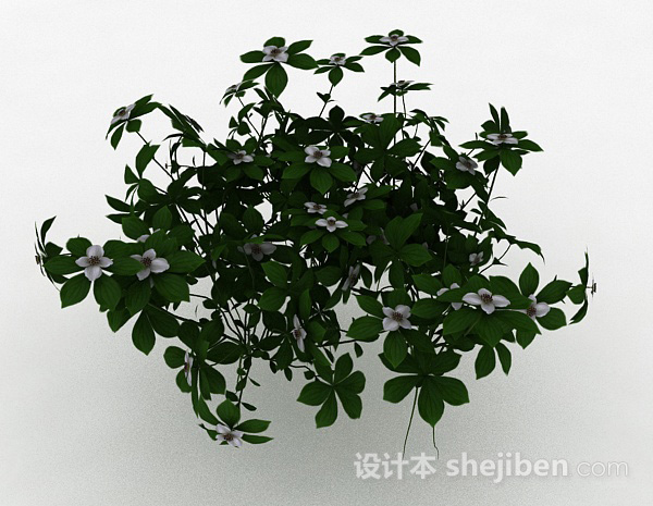 现代风格白色小花草丛花卉植物3d模型下载