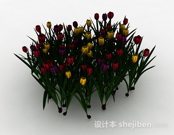 多色花朵观赏植物3d模型下载