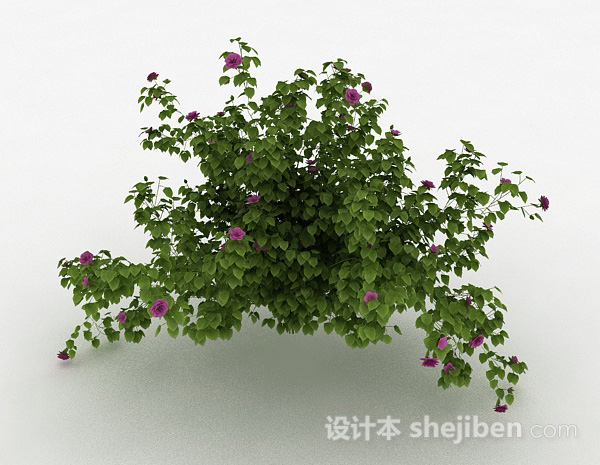 免费室外紫色花卉植物3d模型下载