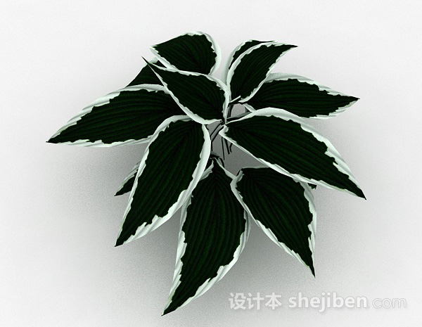 免费绿底白边叶子植物3d模型下载