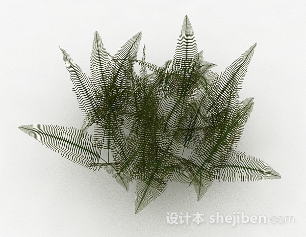 其它细叶蕨科类植物3d模型下载